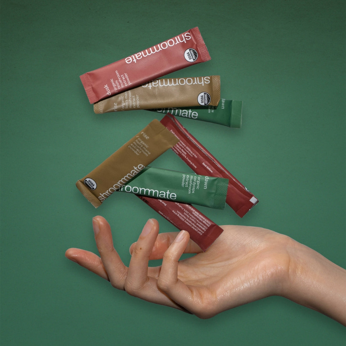 Shroommate Dusk / Reishi