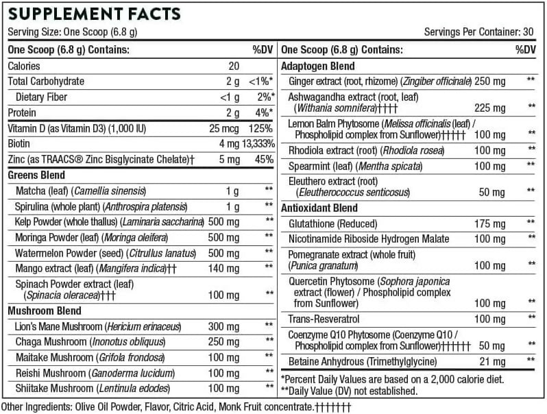 61+-hKX6q1L._AC_SL1000_