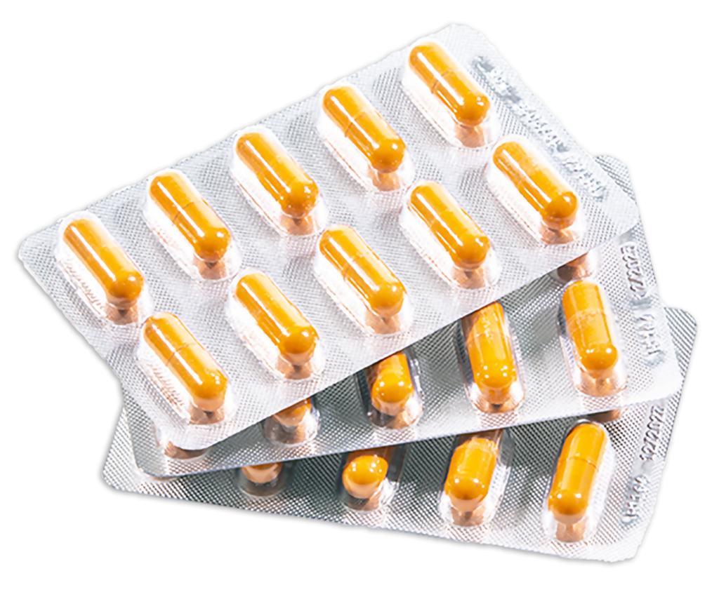 Evergreen Herb Energy Support II