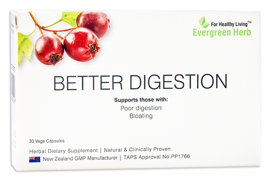 Evergreen Herb Better Digestion