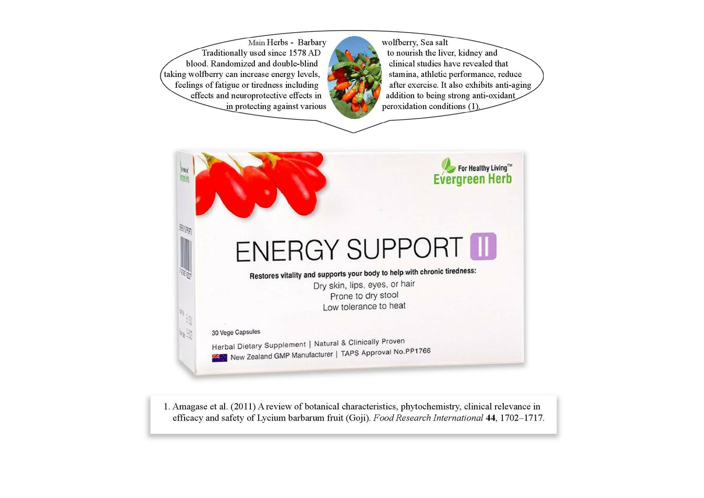 Evergreen Herb Energy Support II