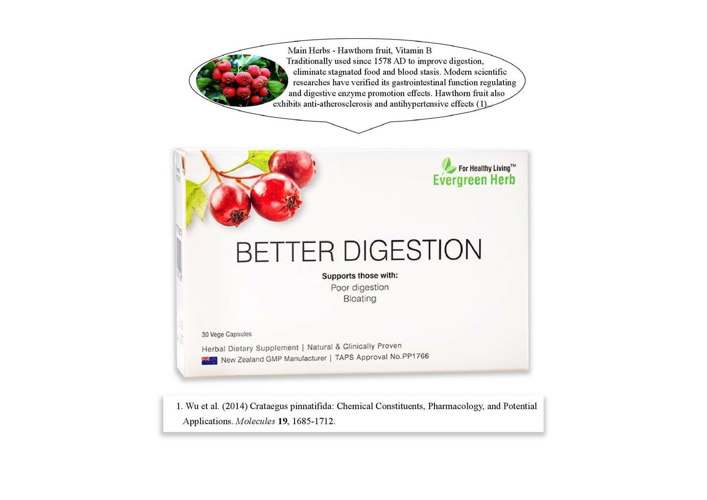 Evergreen Herb Better Digestion