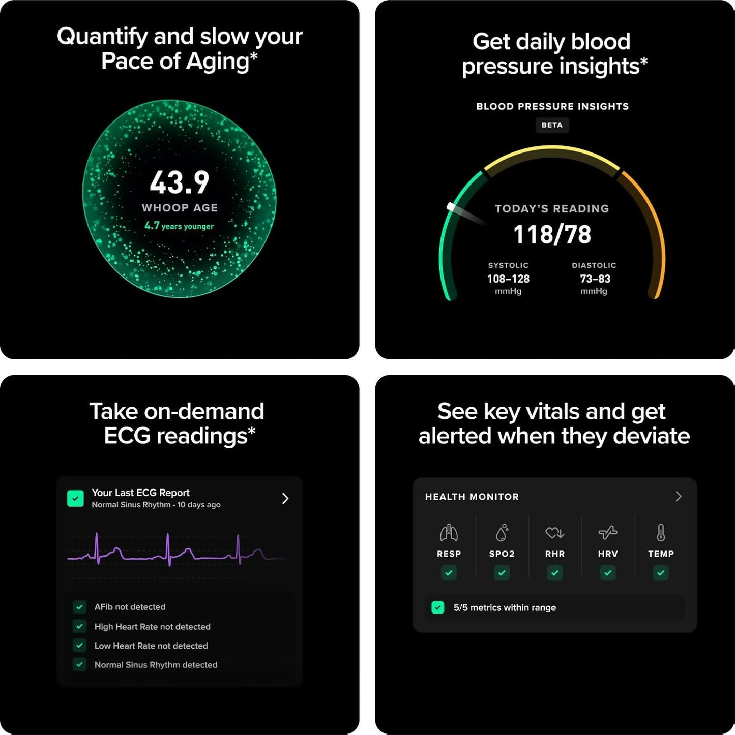 61C8zIZHoBL._AC_SL1500_