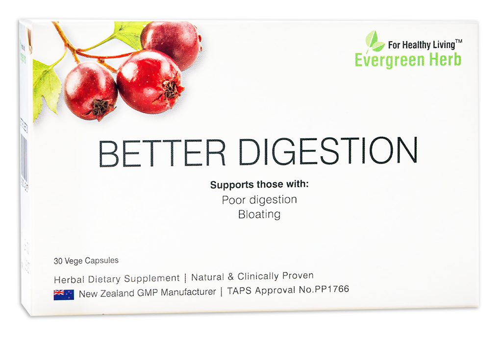 Evergreen Herb Better Digestion