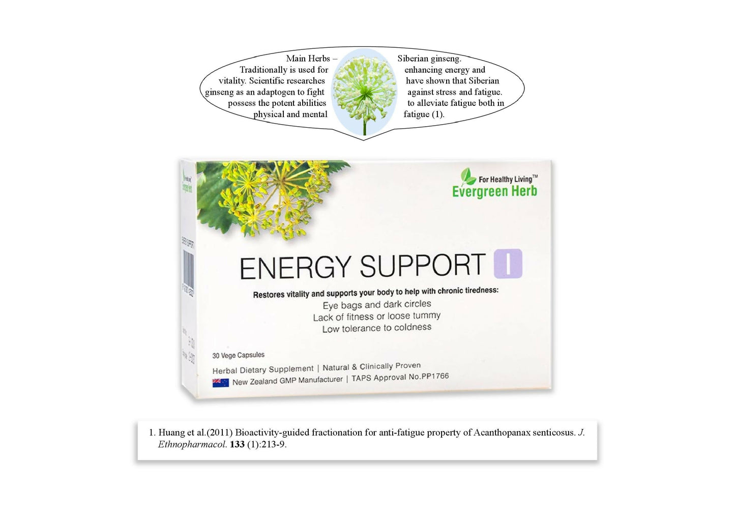 Evergreen Herb Energy Support I