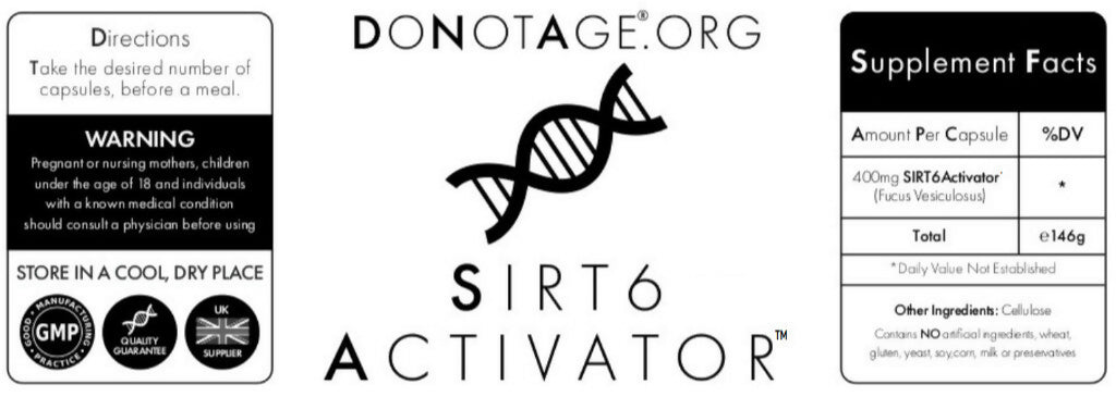 86a8f034-d9b1-481b-9a7a-b03306728058